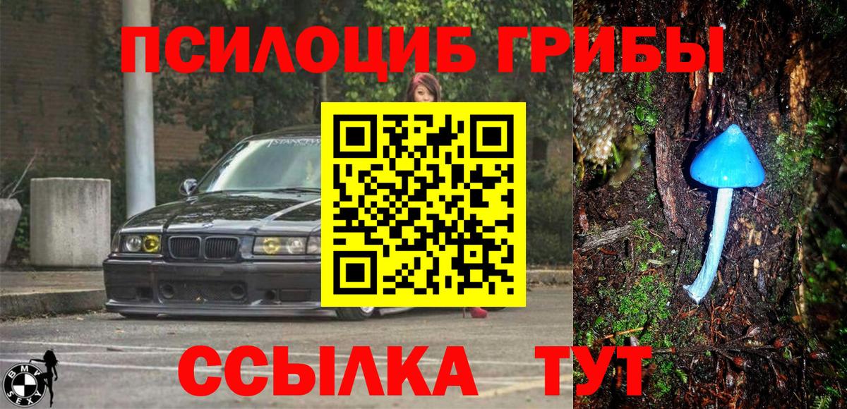 Псилоцибиновые грибы GOLDEN TEACHER  Псилоцибиновые грибы мицелий  Вход с VPN  Россошь 